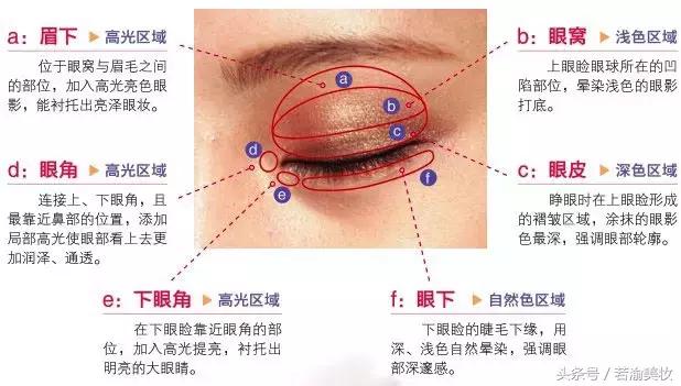 眼影的画法新手简单淡妆,眼影的画法初学者