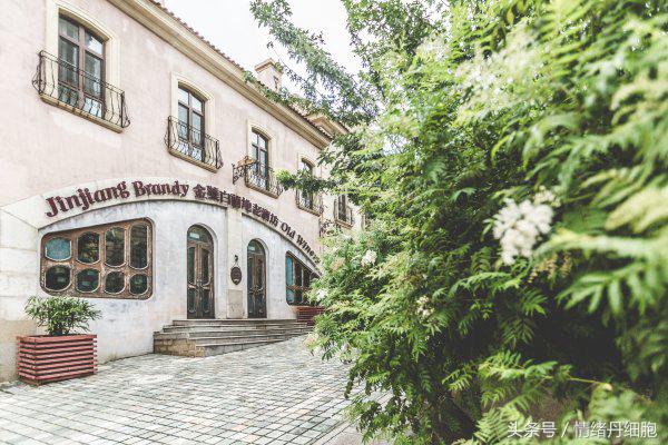 张裕瑞那城堡酒庄拍照技巧,张裕爱斐堡红酒庄园