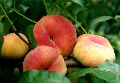 邯郸好吃好玩的地方排行榜,邯郸市好吃好玩的地方