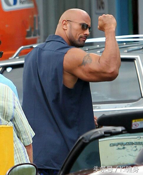 大腿外侧和前侧肌肉分布图,大腿前侧突出从解剖角度看