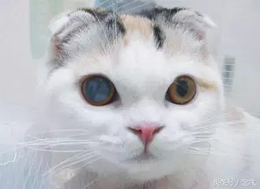 葡萄酒:男人的加油站,女人的美容院!