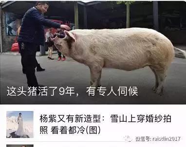 怎么能把年龄修改一下qq,qq年龄改为未成年后经历