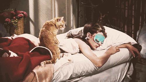 大幅提升生活品质的好物,有哪些提升生活品质的好物