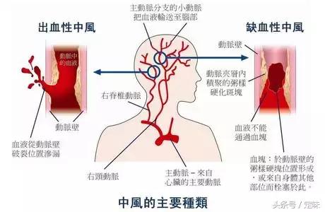 葡萄酒:男人的加油站,女人的美容院!