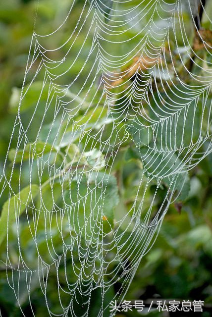 爱一个人陷于才华忠于人品,爱一个人始于颜值敬于爱情