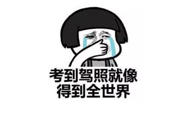 驾考新规10月1日实施,难度堪比高考,还没拿到驾照的忍住别哭