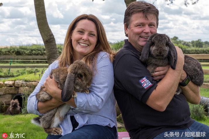 兔兔球虫症状多久会死,兔兔球虫病会自愈吗