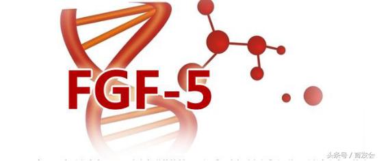 中国脱发人数多少亿,中国脱发人口占比