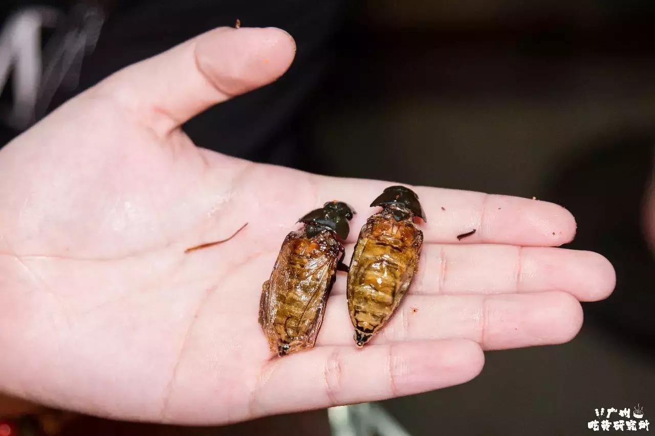 香港最旧的大排档,香港大排档出现在广州街头