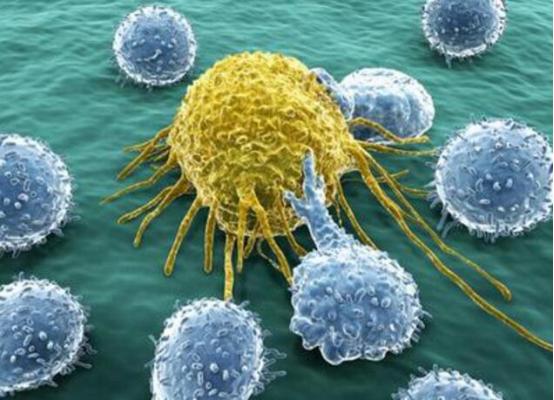 癌胚抗原略高可以服用硒吗,癌胚抗原轻微高吃什么药