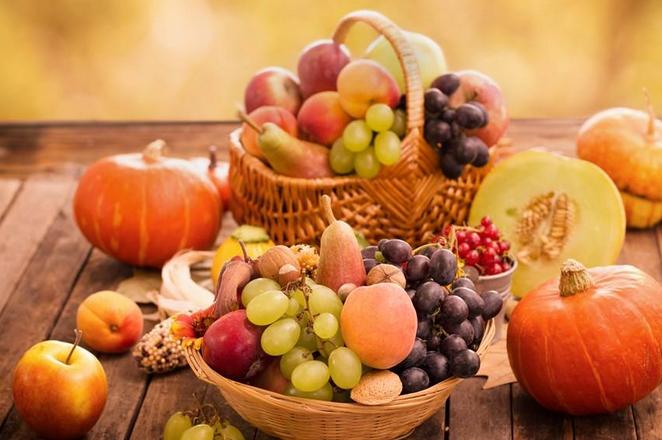 让狗狗寿命变长的药物,狗狗营养膏的作用与功效