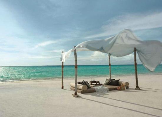 己所不欲勿施于人对这句话的感悟,对己所不欲勿施于人这句话的感受