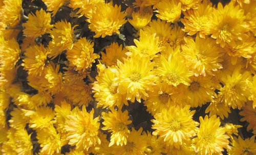 对大学生兼职的建议和忠告,对大学兼职有啥好的建议