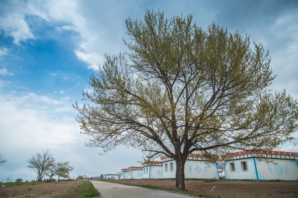 青海西北大环线旅游无人区在哪里,青海大环线高原风景