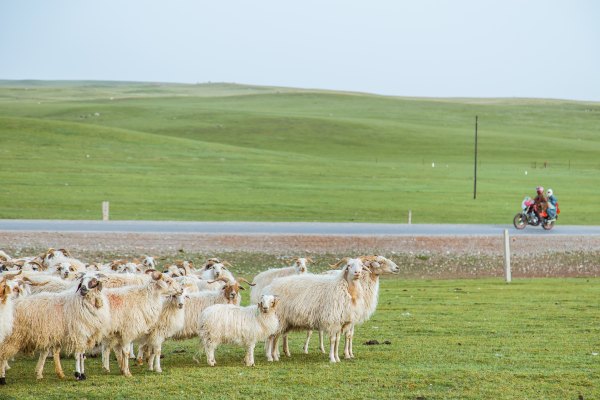 青海西北大环线旅游无人区在哪里,青海大环线高原风景