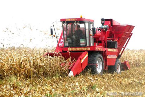 三农日报｜村淘S2B2C模式是何物；温氏发布养殖行业5点判断