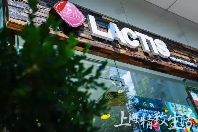 上海网红冰淇淋,上海必去的网红冰淇淋