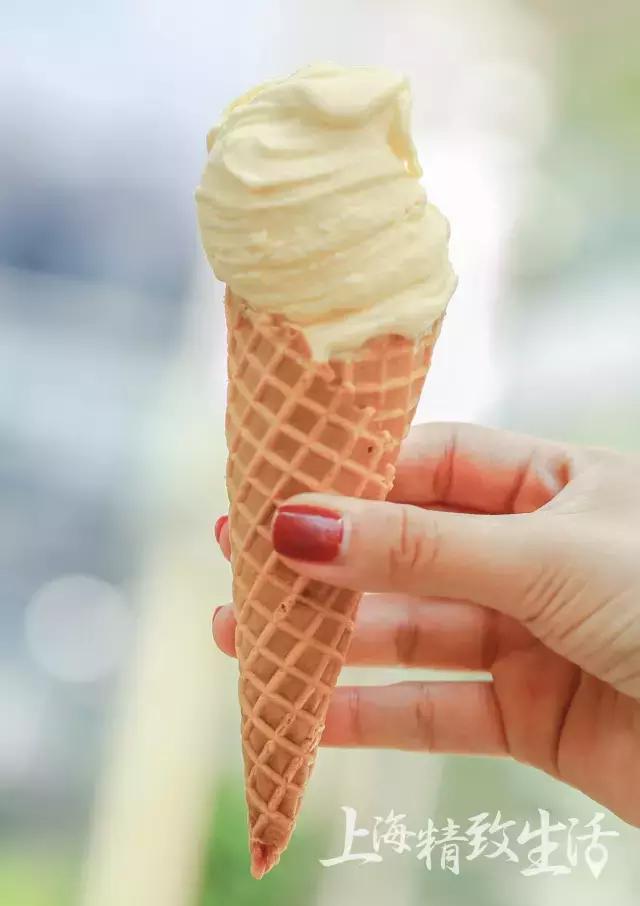 上海网红冰淇淋,上海必去的网红冰淇淋