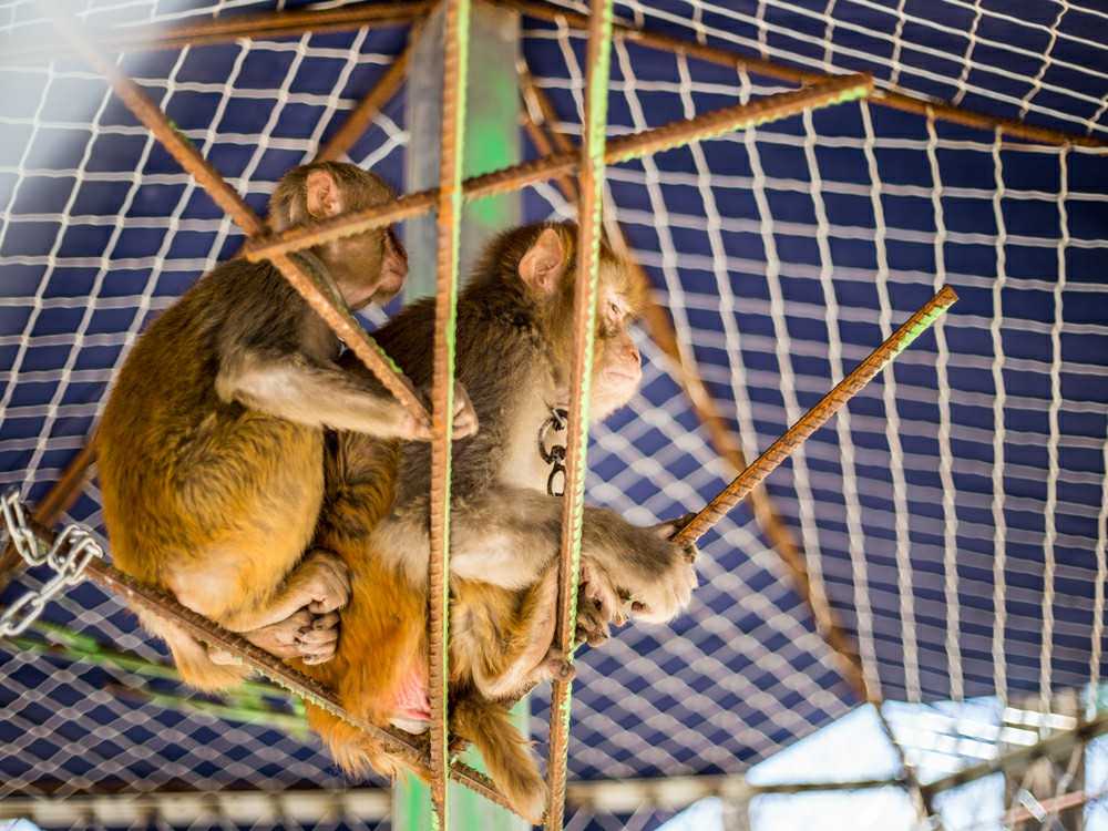 农家院精选评价,精品农家乐温泉住宿