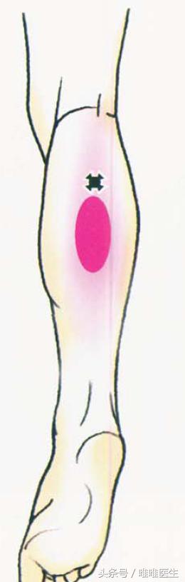 绝对干货膝盖损伤知识一网打尽,膝关节疼痛知识科普