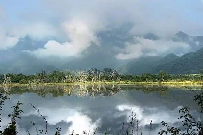 北纬30°神秘之境，在高山草甸、追逐鹿群，这里美的像天堂！