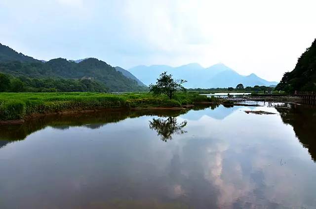 北纬30°神秘之境，在高山草甸、追逐鹿群，这里美的像天堂！