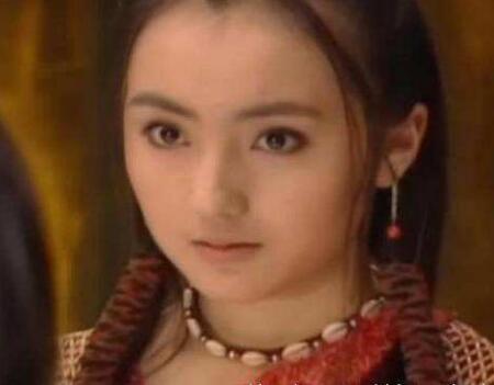 黑龙江出生,演过日版流星花园,娶中国小演员,后出轨日本女星