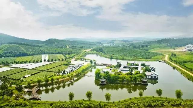 转型升级看美宿｜闲庭——任门外风吹雨打，我自胜似闲庭信步