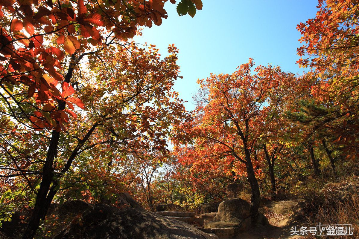 我的家乡在天津市蓟州区作文,我的家乡20年后蓟州区的样子