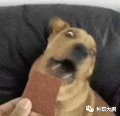 七夕送什么品牌口红,七夕口红推荐送女友