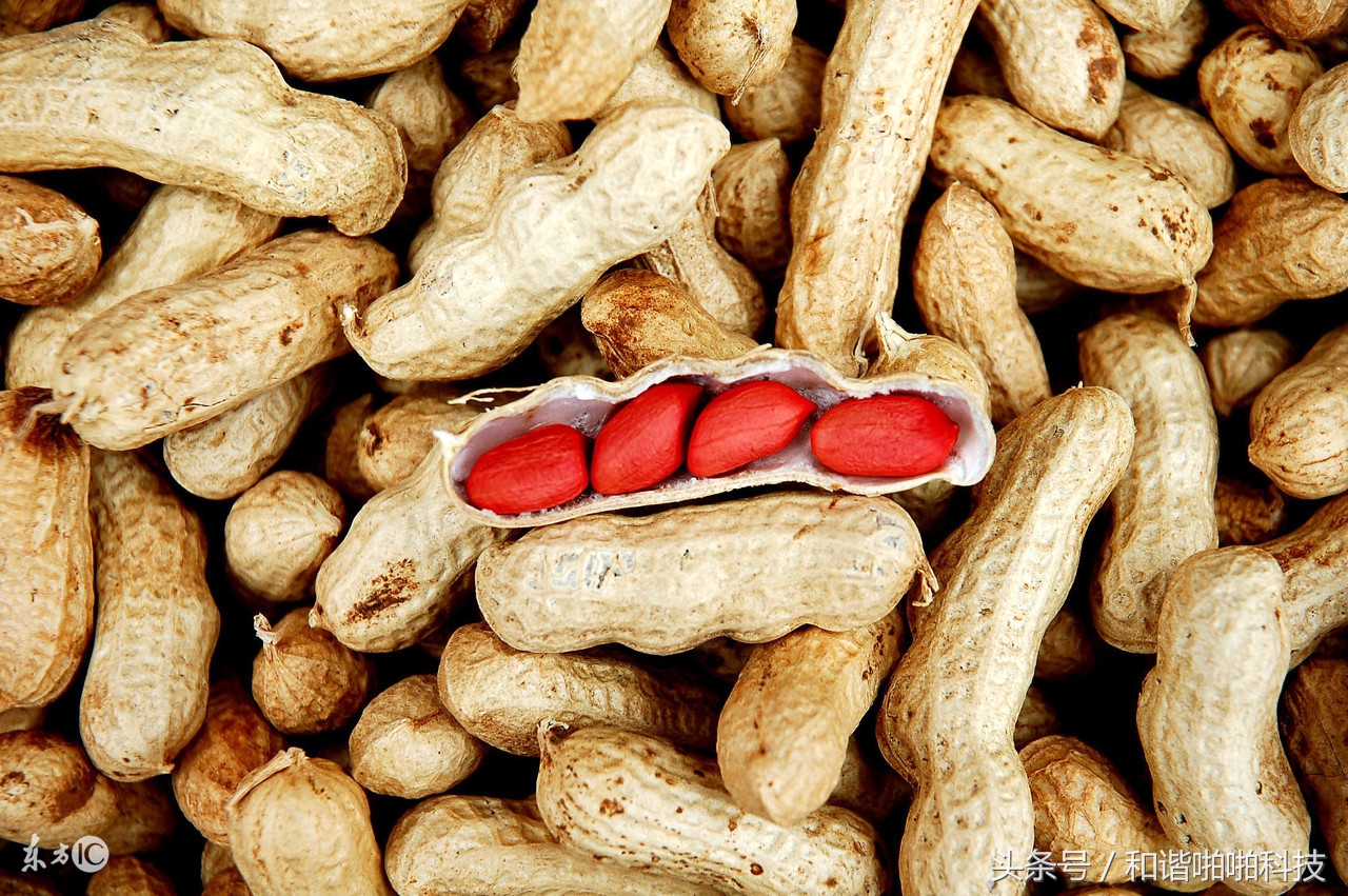 预防疾病的健康长寿食物,4种公认的长寿食物你知道几个