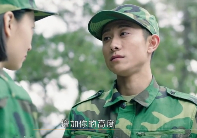 致橡树最好的爱情是与你并肩站立,致橡树道出爱情真谛