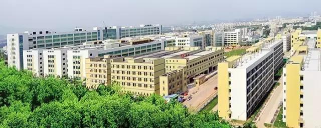 惠州大亚湾千亿级产业园项目,环县800多亿重大项目