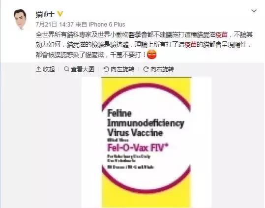 关于猫打疫苗的知识,自己给猫猫打疫苗的正确方法