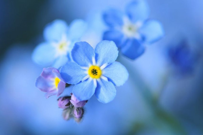 法律应该如何学习,怎样学法律最快