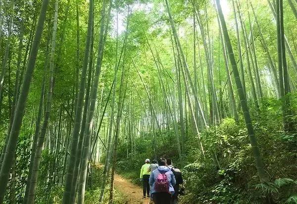 关于立秋有趣的文章,关于立秋的解释