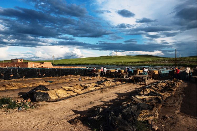 近距离了解砖窑厂烧制砖块的秘密