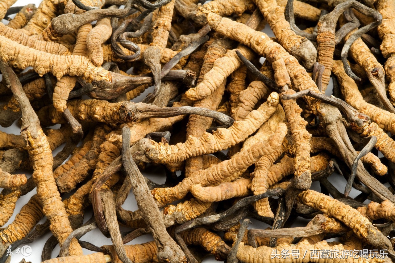 西藏特产购买攻略,在藏宝阁买东西需要将军令吗