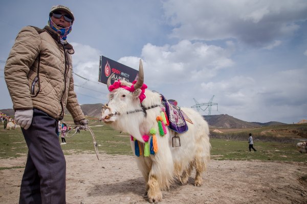 青海西北大环线旅游无人区在哪里,青海大环线高原风景