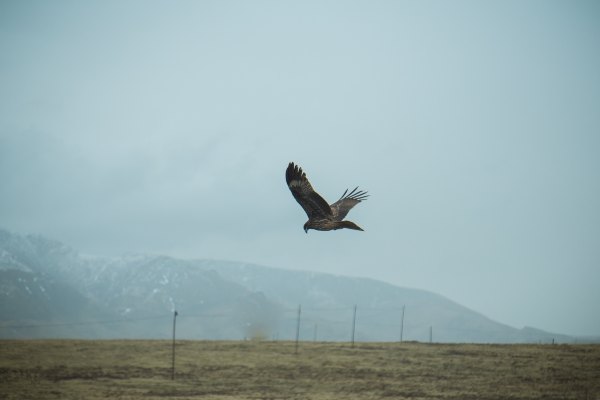 青海西北大环线旅游无人区在哪里,青海大环线高原风景