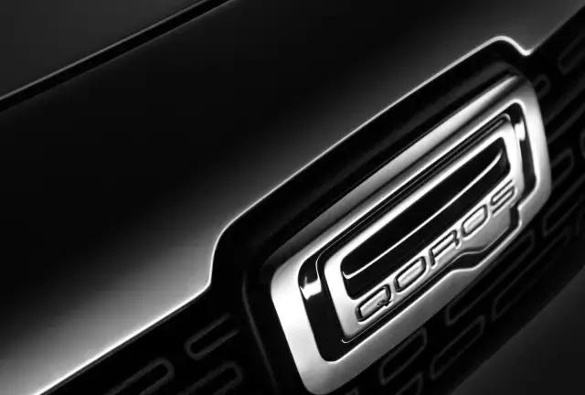 订单量和销量,中国自主品牌累计销售量