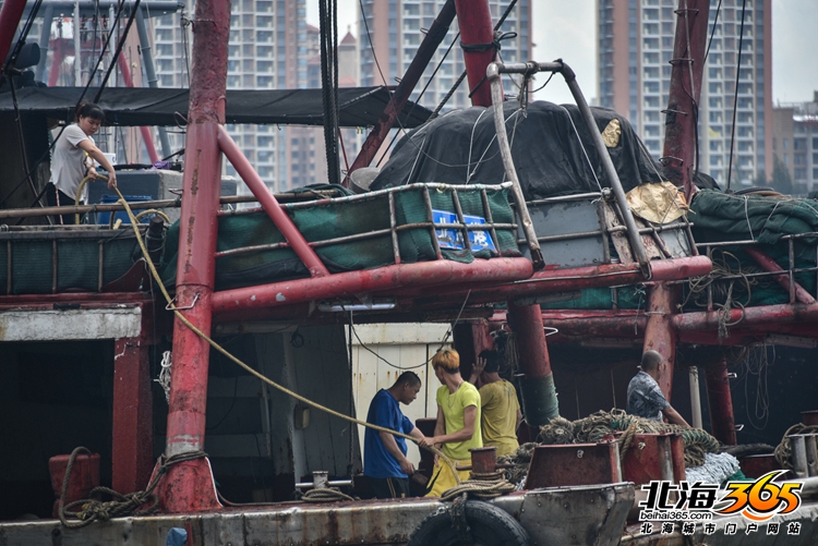 北海开渔仪式2020时间,北海开渔