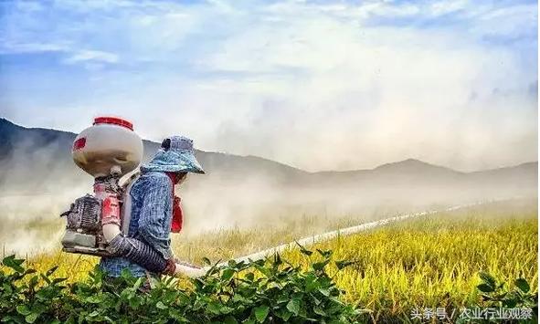 三农日报｜村淘S2B2C模式是何物；温氏发布养殖行业5点判断