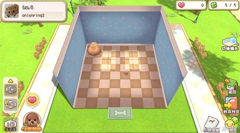 萌宠来袭宠物,超萌小宠物