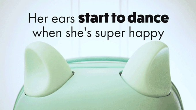 不要说我孤独，我还有猫