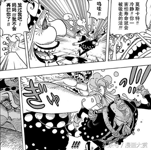 海贼王艾尼路毁灭遗迹,海贼王大妈第三个武器