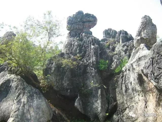 感叹石林的鬼斧神工,感叹云浮