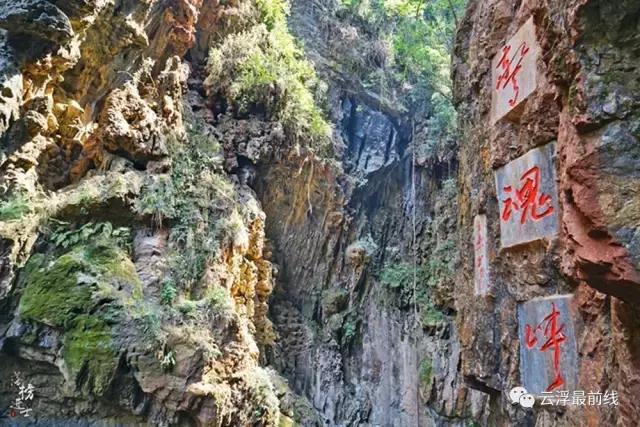 感叹石林的鬼斧神工,感叹云浮