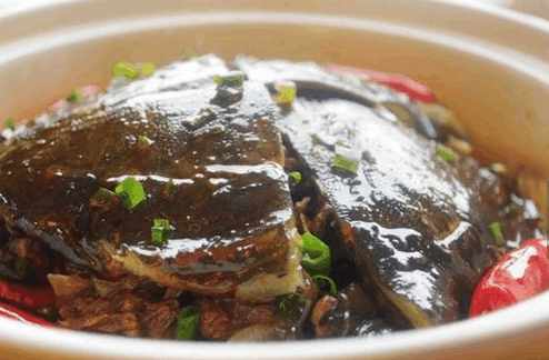 甲鱼算不算海鲜忌口食物,甲鱼是补品