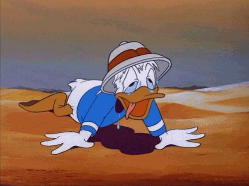 顶着烈日来一次漂流,顶着烈日前行